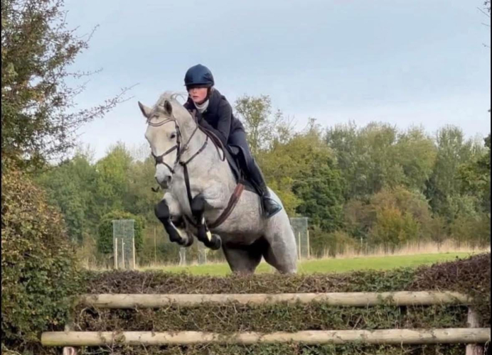 The Ultimate Connemara Pony