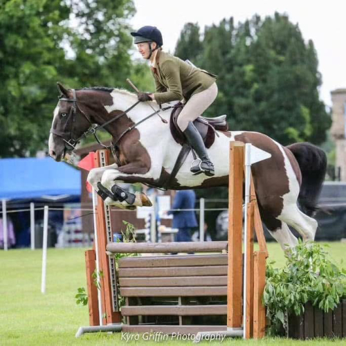 Top Quality Ladies Hunter/Allrounder