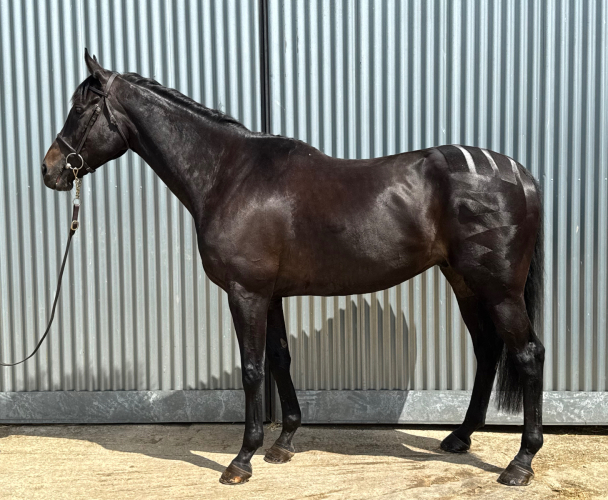 Eye Catching Project