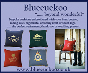Visit Blue Cuckoo